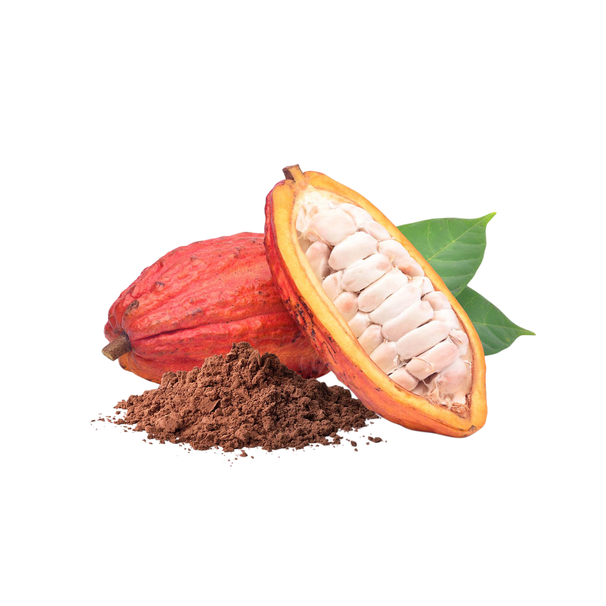 Cacao Pod