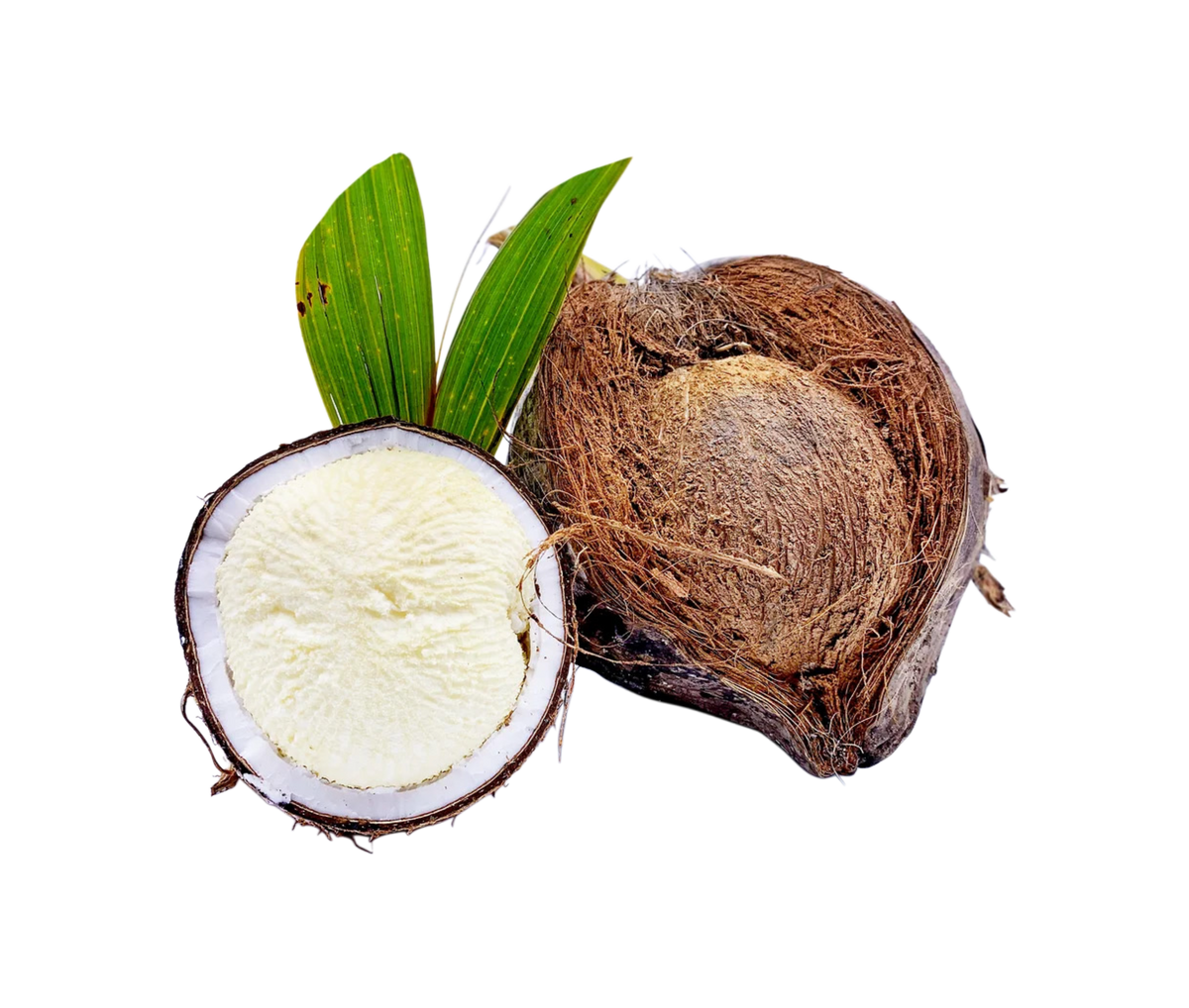 Coconut Sprouted