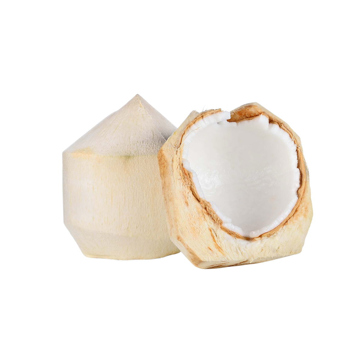 Coconut Young