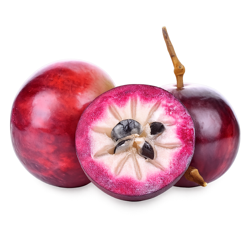 All Tropical Fruits
