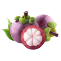 Mangosteen