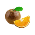 Orange - Chocolate Orange / Navel