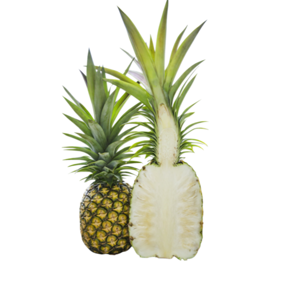 Pineapple - Sugarloaf