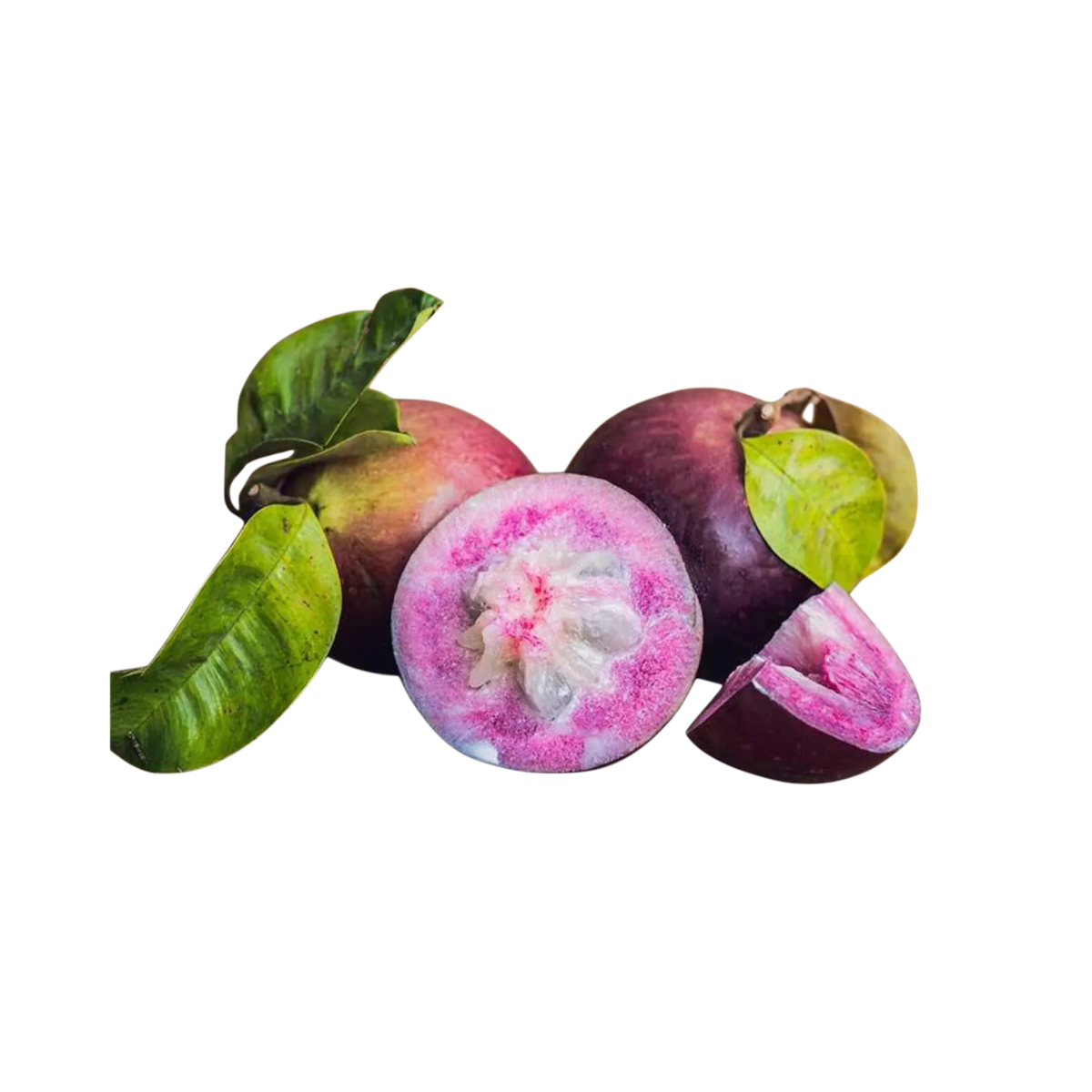 Star Apple / Breast Milk Fruit