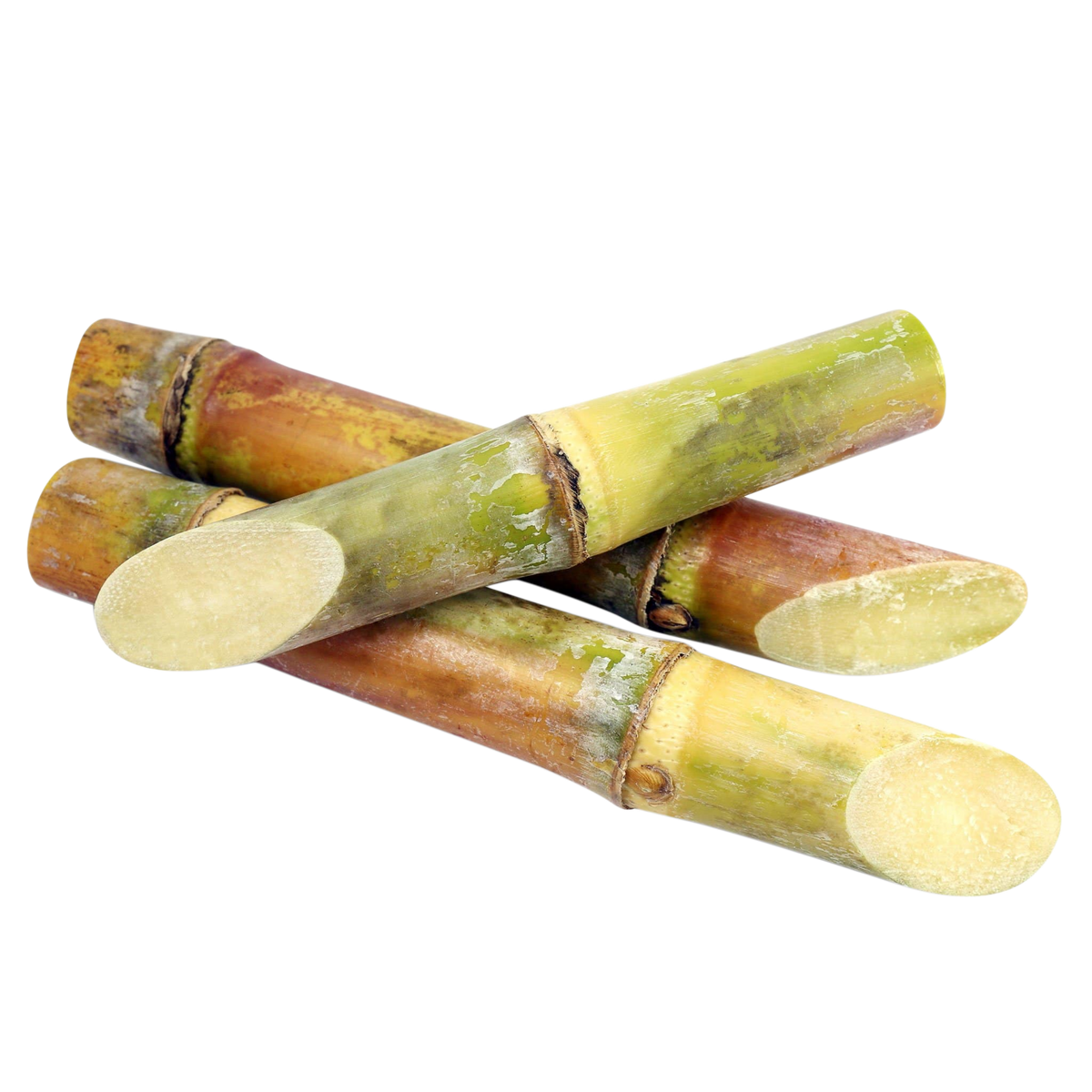 Sugarcane