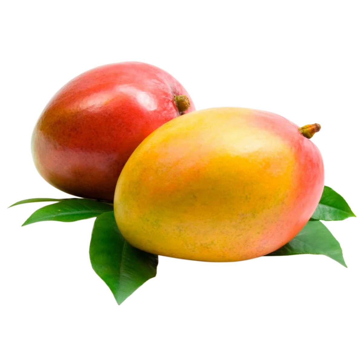 Mango - Kent