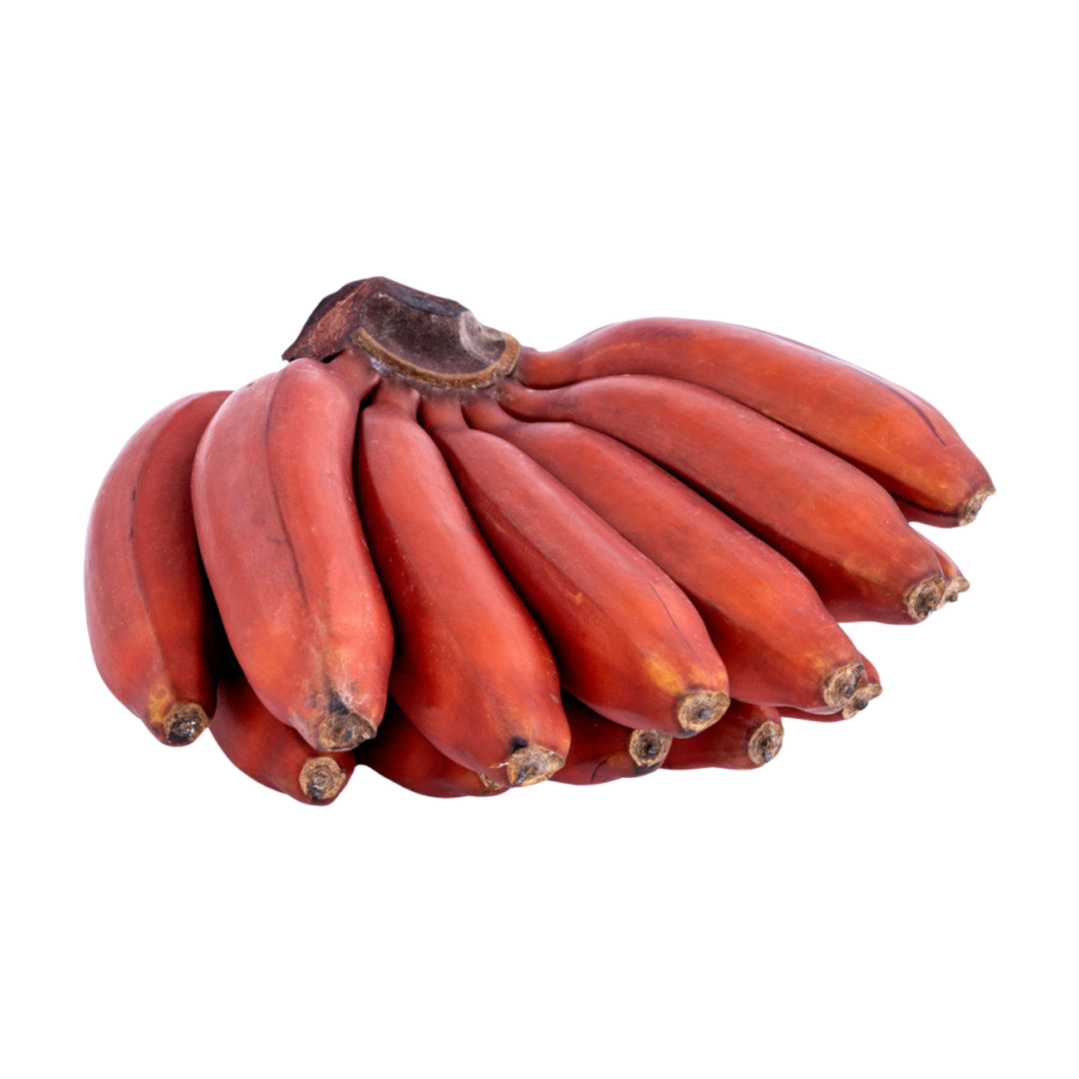 Bananas (Red)