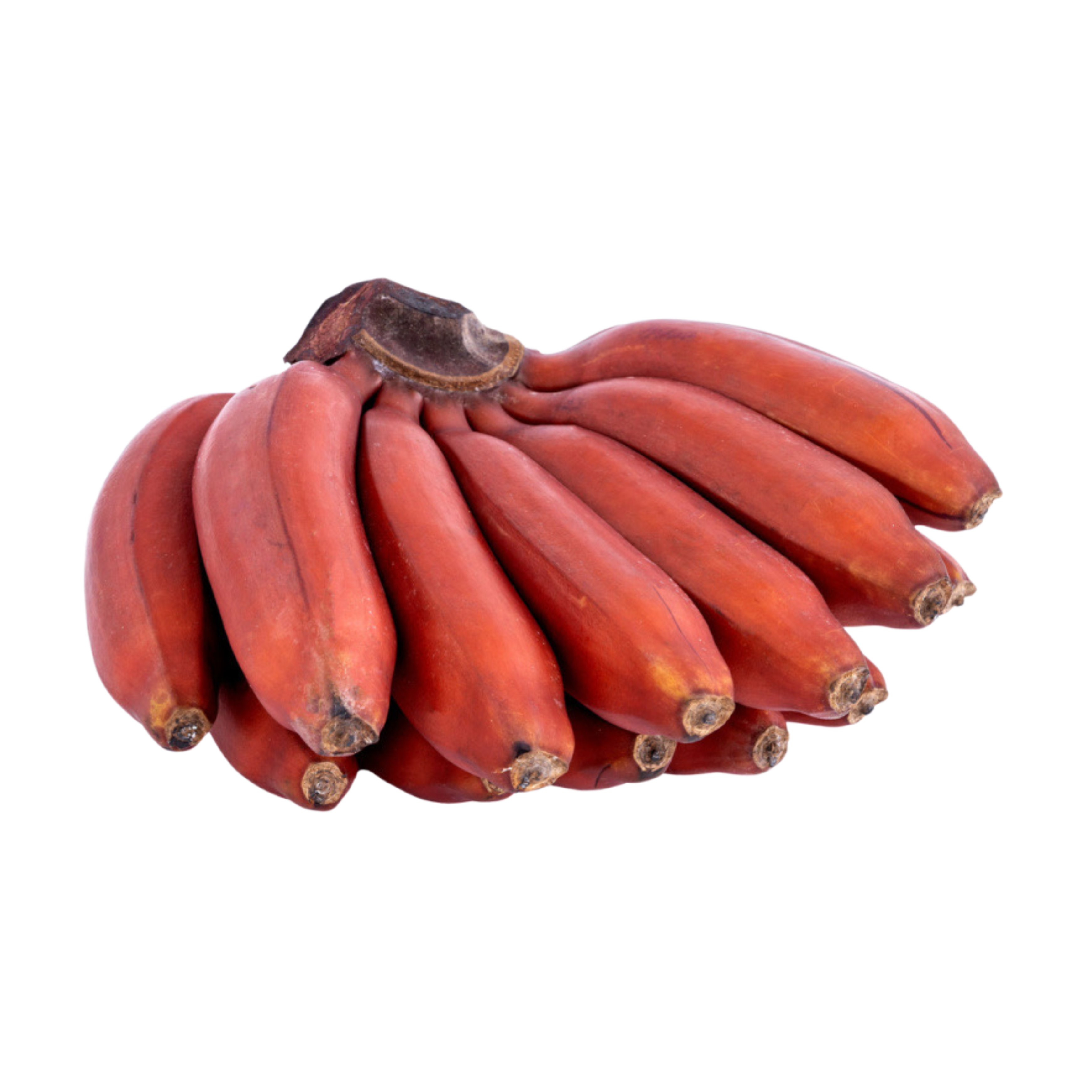 Bananas (Red)