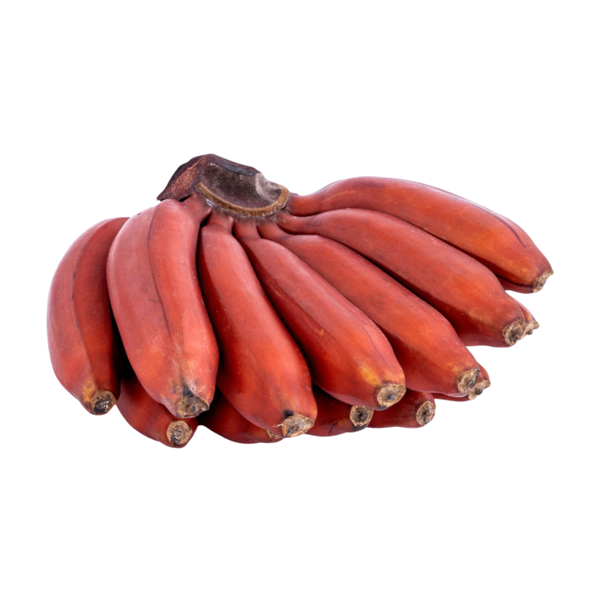 Bananas (Red)