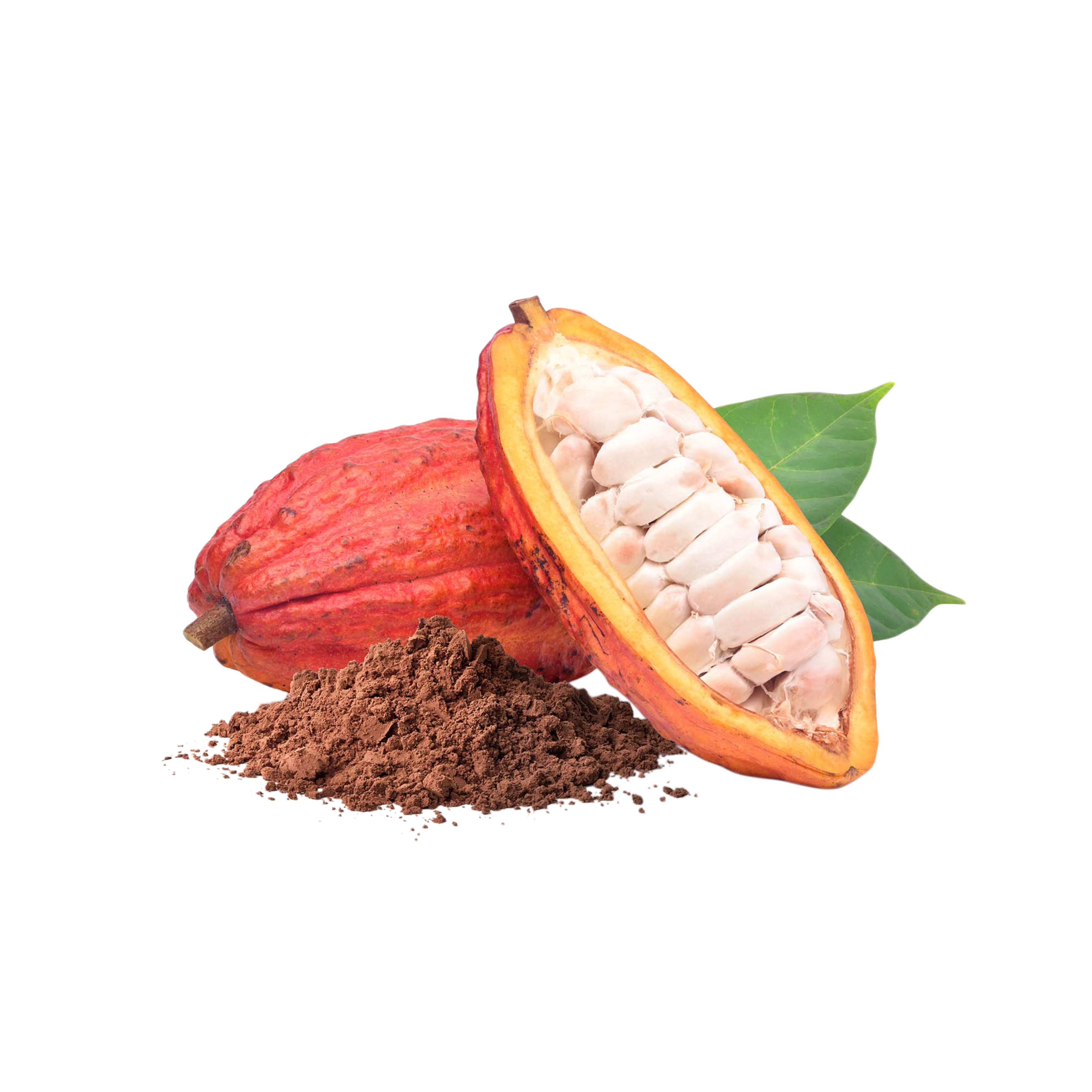 Cacao Pod