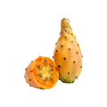 Cactus Fig