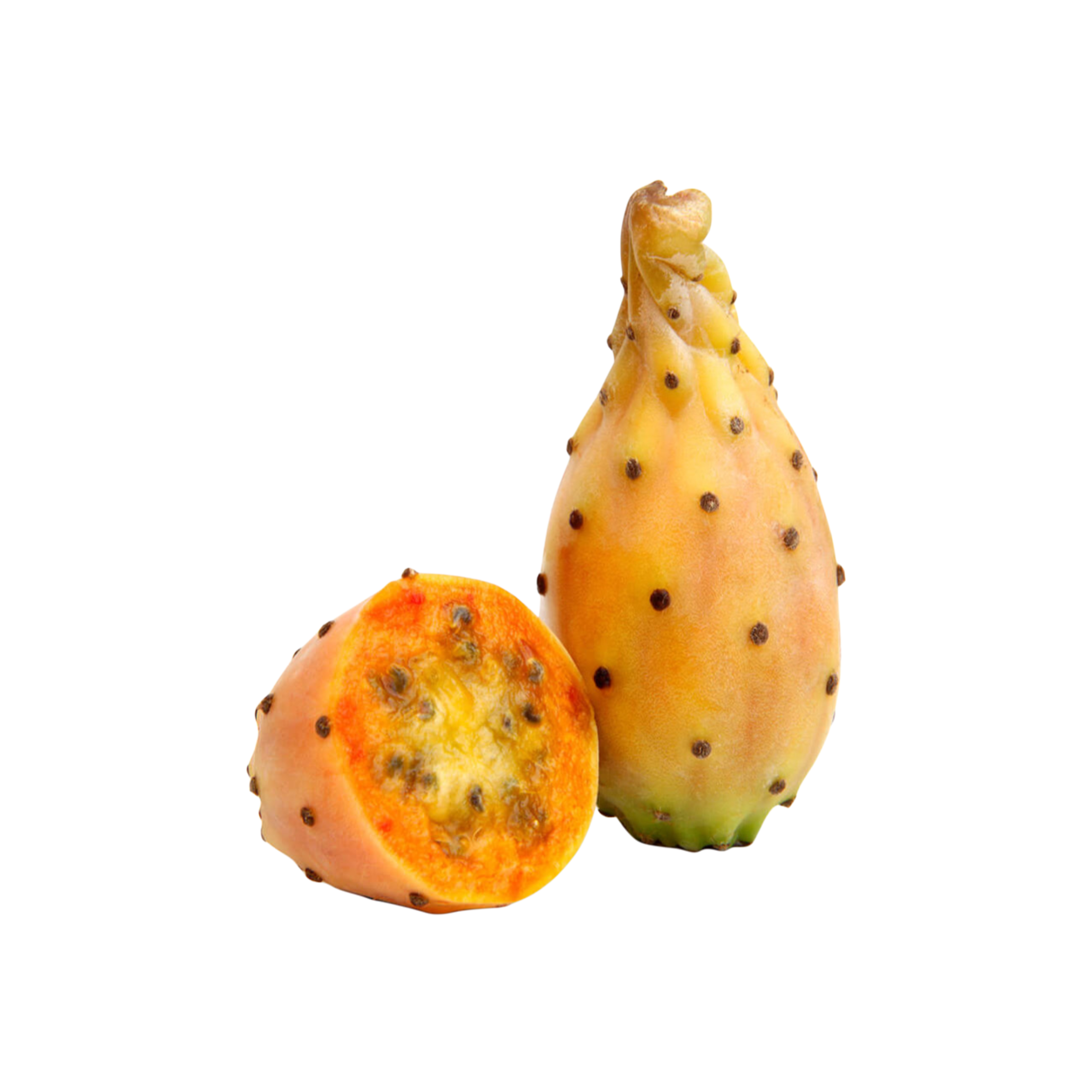 Cactus Fig