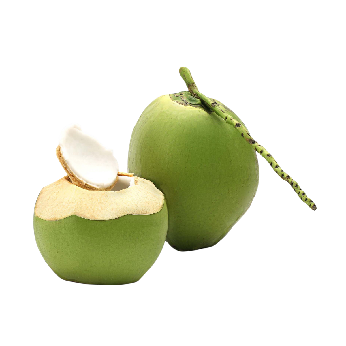 Coconut Jelly Nut