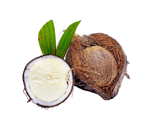 Coconut Sprouted