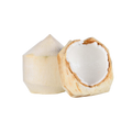 Coconut Young