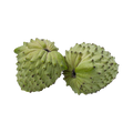 Custard Apple Atemoya