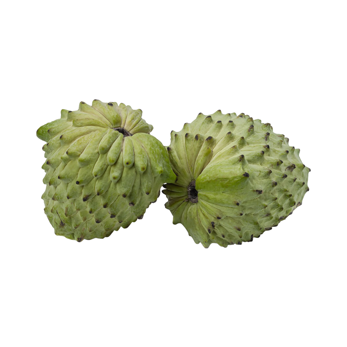 Custard Apple Atemoya