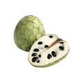 Custard Apple Cherimoya