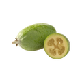 Feijoa