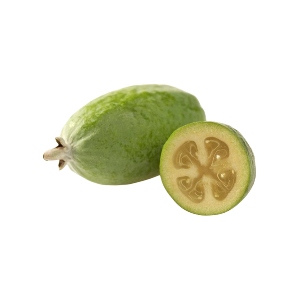Feijoa