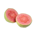 Guava (All)