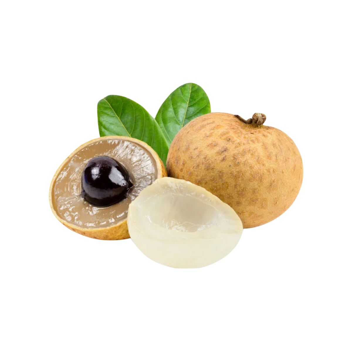 Longan