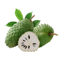 Soursop