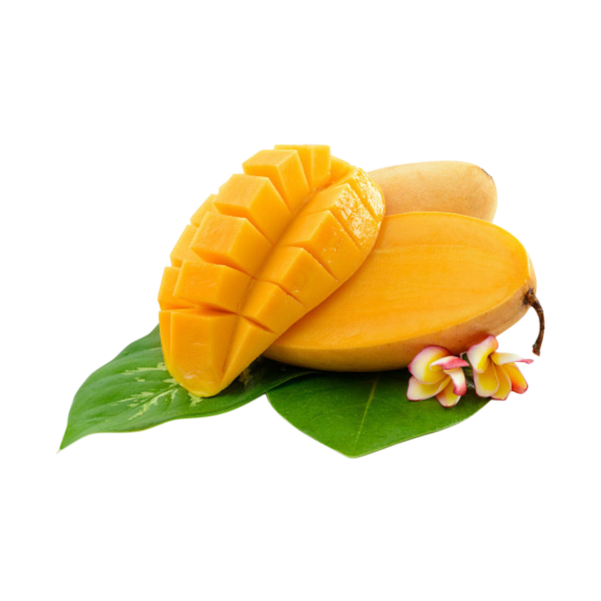 Mango - Nam Doc Mai